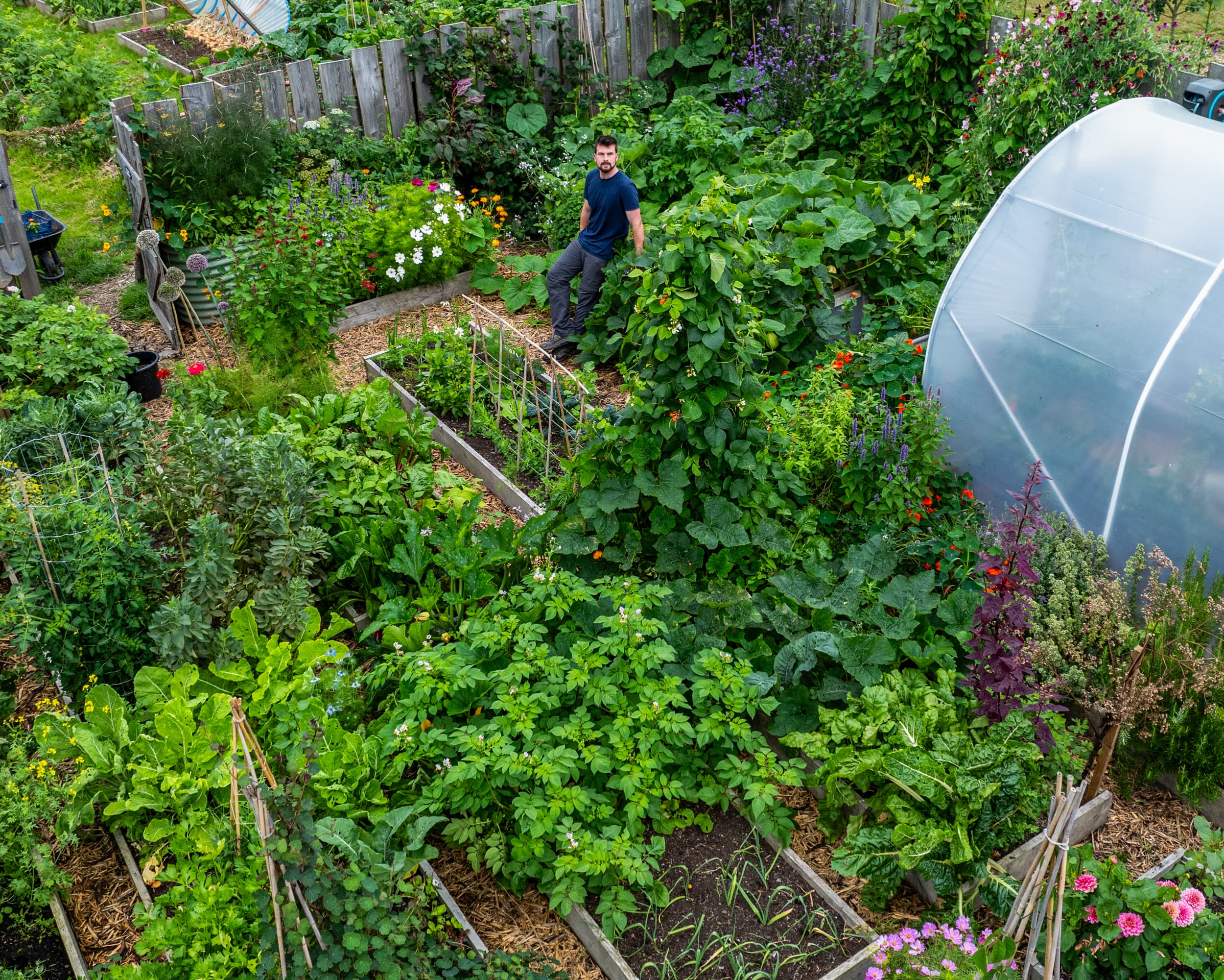 Huw Richards standing among flowers and productive raised beds in his garden